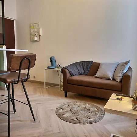 Appartement Le Pastelier - Parking Prive - Clim à Albi Extérieur photo